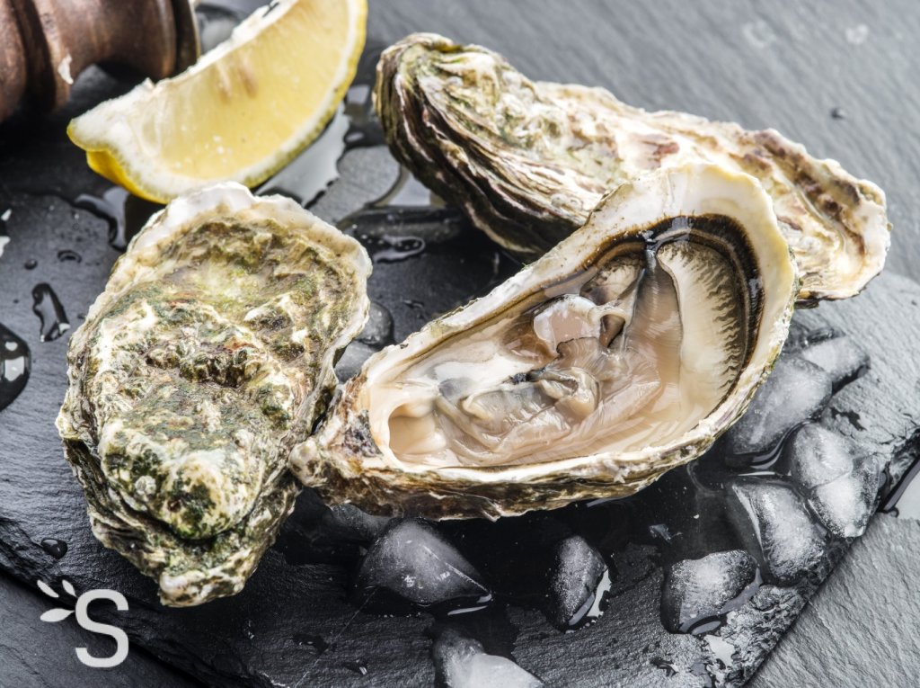 Vous retrouverez nos huîtres toute l'année. 
https://cuisine.journaldesfemmes.fr/encyclopedie-produits/1956595-huitre/